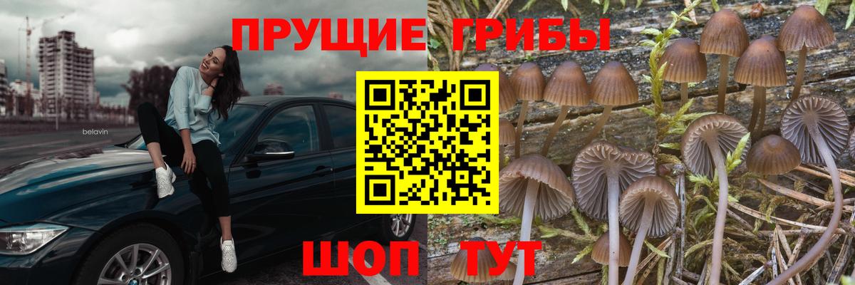 Южно-Сахалинск  Галлюциногенные грибы прущие грибы  Вход с VPN 